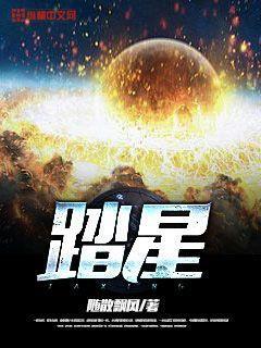 踏星的作者是谁
