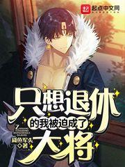 只想退休的我被迫成了大将完整版