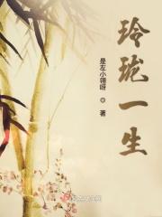 玲珑讲的是